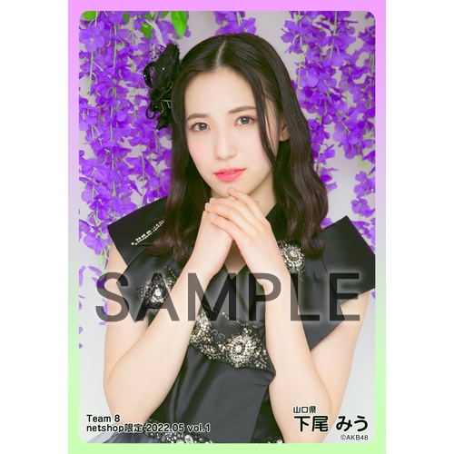 AKB48 チーム8 生写真　600枚以上 AKB48 チーム8 2021年5月度 net shop限定個別生写真5枚セットvol