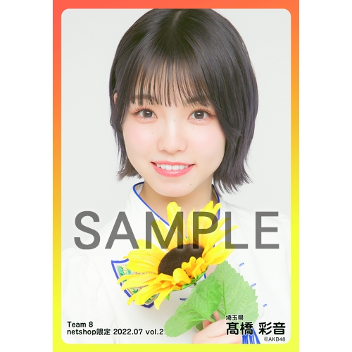 AKB48 チーム8 生写真セット 約500枚 AKB48 チーム8 2021年4月度 net shop限定個別生写真5枚セットvol
