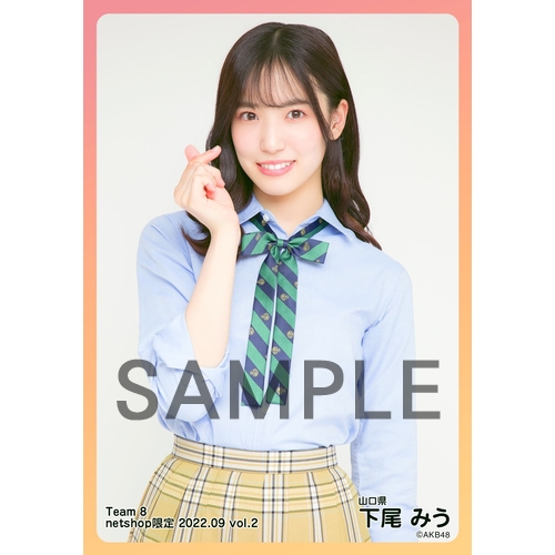AKB48 チーム8 生写真セット 約500枚 予約商品】AKB48 チーム8 全国ツアー ～47の素敵な街へ