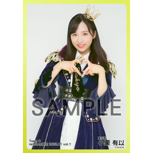 AKB48 チーム8 生写真セット 約500枚 AKB48 チーム8 生写真セット 約500枚 AKB48 チーム8 生写真セット 約