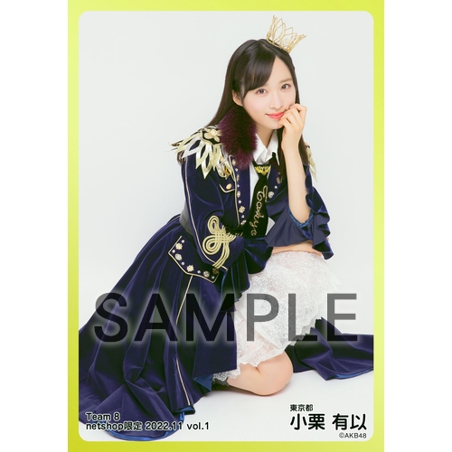 予約商品】AKB48 チーム8 2022年11月度 net shop限定個別生写真5枚