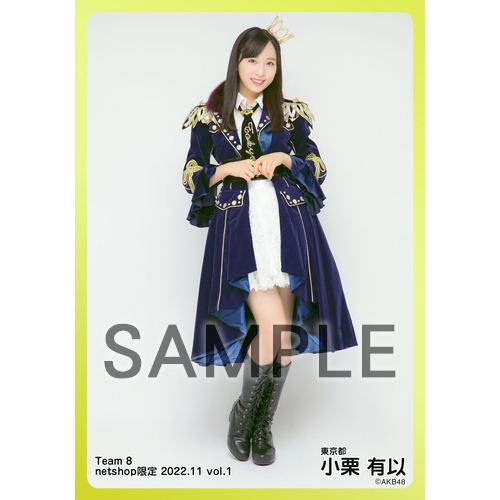 予約商品】AKB48 チーム8 2022年11月度 net shop限定個別生写真5枚