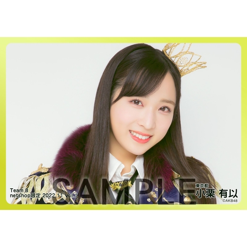 予約商品】AKB48 チーム8 2022年11月度 net shop限定個別生写真5枚