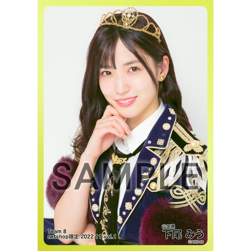 AKB48 チーム8 2022年11月度 net shop限定個別生写真5枚セット