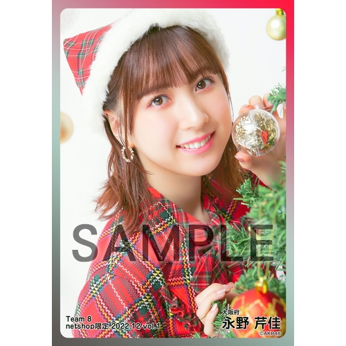 AKB48 チーム8 生写真セット 約500枚 AKB48 チーム8 2022年12月度 net shop限定個別生写真5枚セット