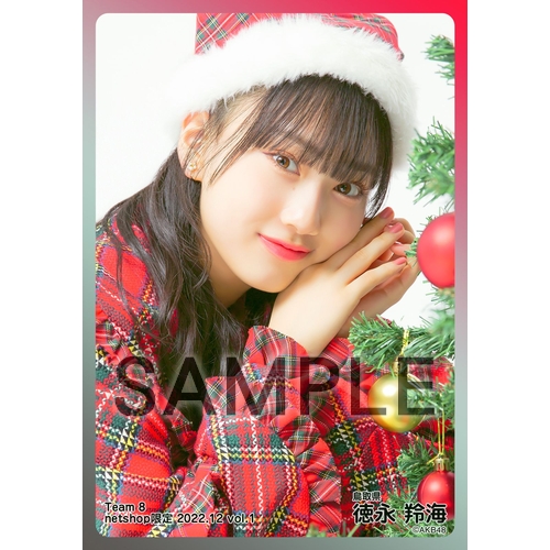AKB48 チーム8 生写真セット 約500枚 AKB48 チーム8 2021年6月度 net shop限定個別生写真5枚セットvol