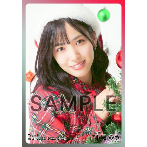 AKB48 チーム8 2022年12月度 net shop限定個別生写真5枚セット