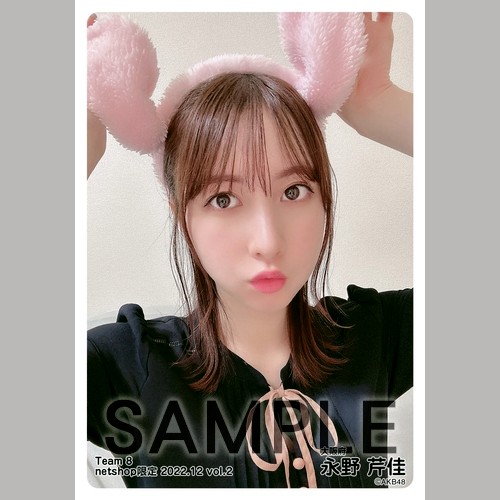 AKB48 チーム8 2022年12月度 net shop限定個別生写真5枚セットvol.2