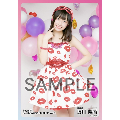 AKB48 チーム8 生写真セット 約500枚 予約商品】AKB48 チーム8 2023年2月度 net shop限定個別生写真5枚