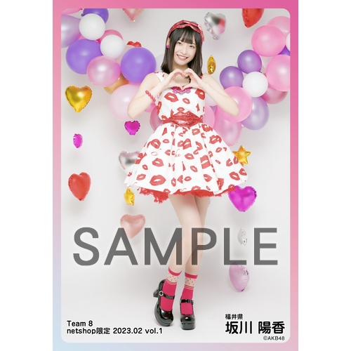 予約商品】AKB48 チーム8 2023年2月度 net shop限定個別生写真5枚