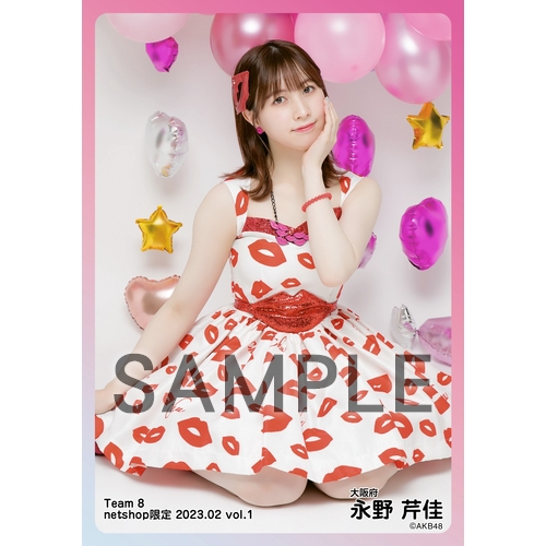 予約商品】AKB48 チーム8 2023年2月度 net shop限定個別生写真5枚