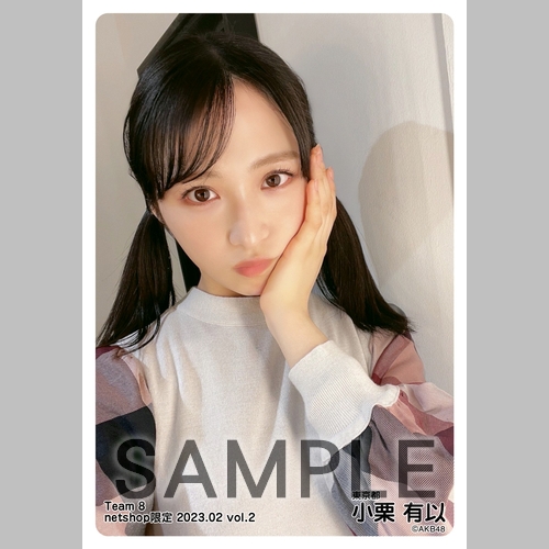 予約商品】AKB48 チーム8 2023年2月度 net shop限定個別生写真5枚