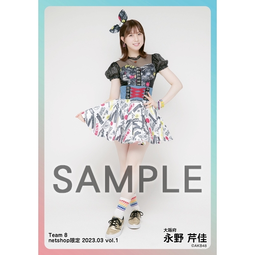 AKB48 チーム8 生写真セット 約500枚 予約商品】AKB48 チーム8 2023年3月度 net shop限定個別生写真5枚
