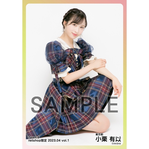 予約商品】AKB48 チーム8 2023年4月度 net shop限定個別生写真5枚