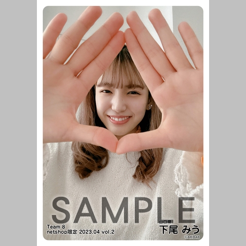 AKB48 チーム8 生写真セット 約500枚 AKB48 チーム8 生写真セット 約500枚 - メルカリ