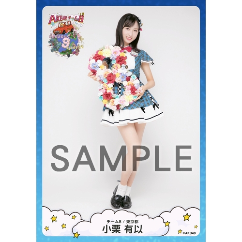 AKB48 チーム8 生写真セット 約500枚 予約商品】AKB48 チーム8 2022年10月度 net shop限定個別生写真5