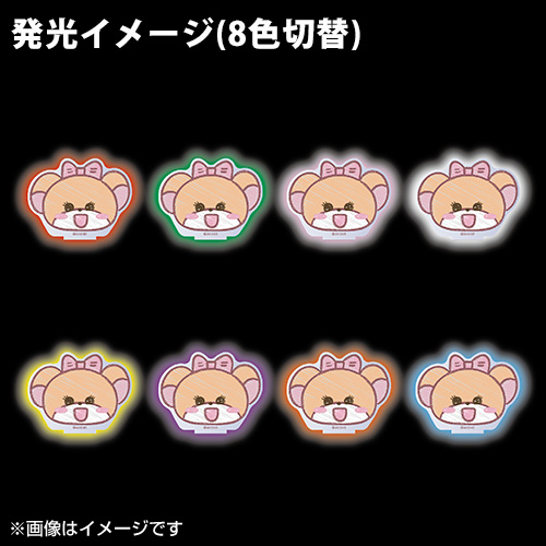 予約商品】AKB48 永野芹佳プロデュース「プレートライト」 | AKB48