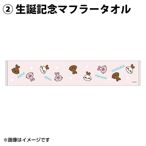 予約商品】AKB48 チーム8 生誕記念グッズセット 2022年5月度 橋本陽菜
